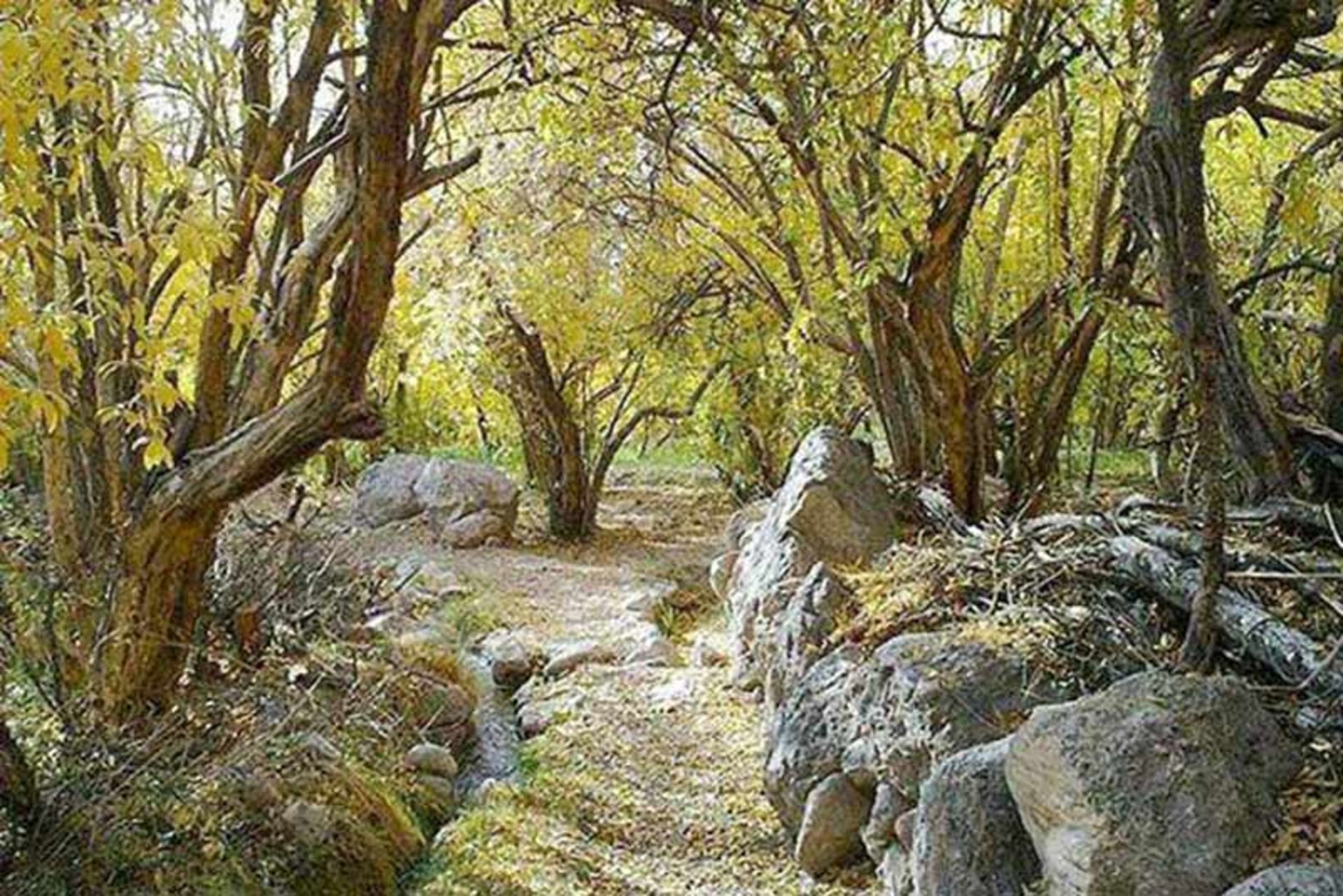 طبیعت کوهستانی اطراف روستای گردشگری قطرم