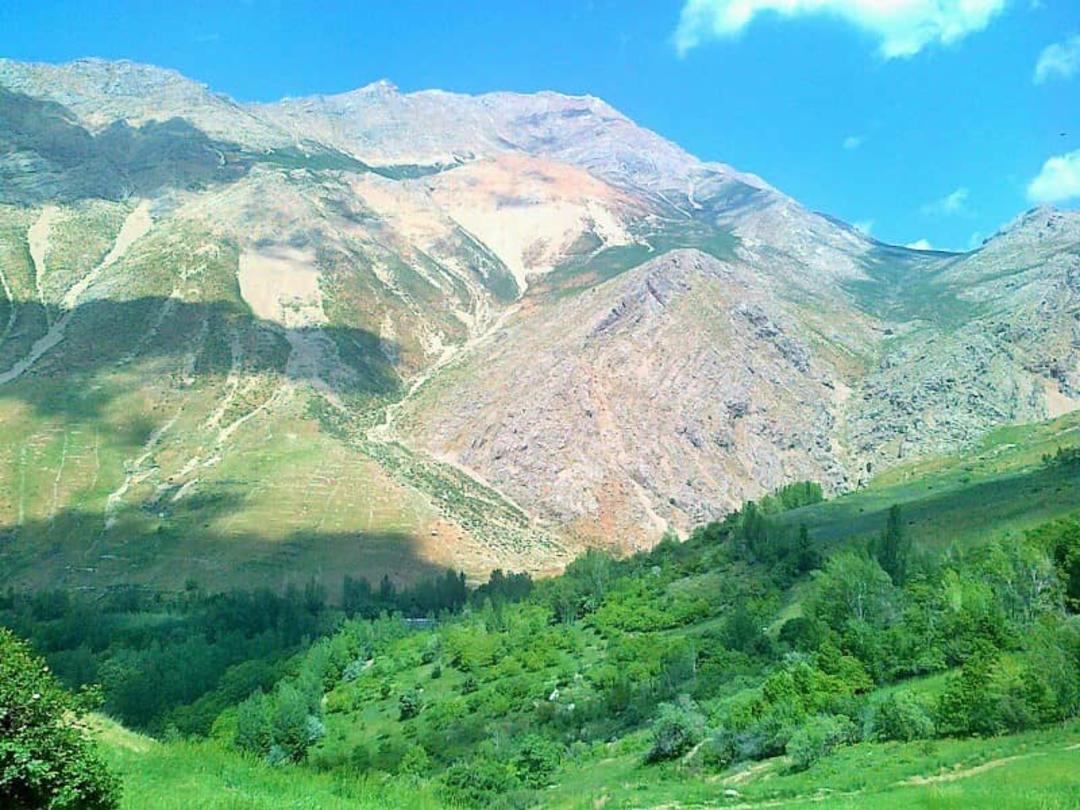 چشم انداز سرسبز از پارک ملی تنگ صیاد