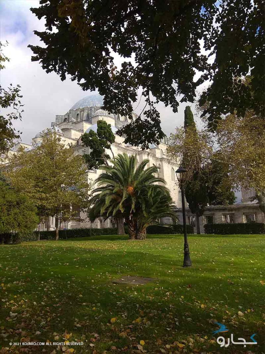 مسجد  سلیمانیه از نمای صحن مسجد میان درختان