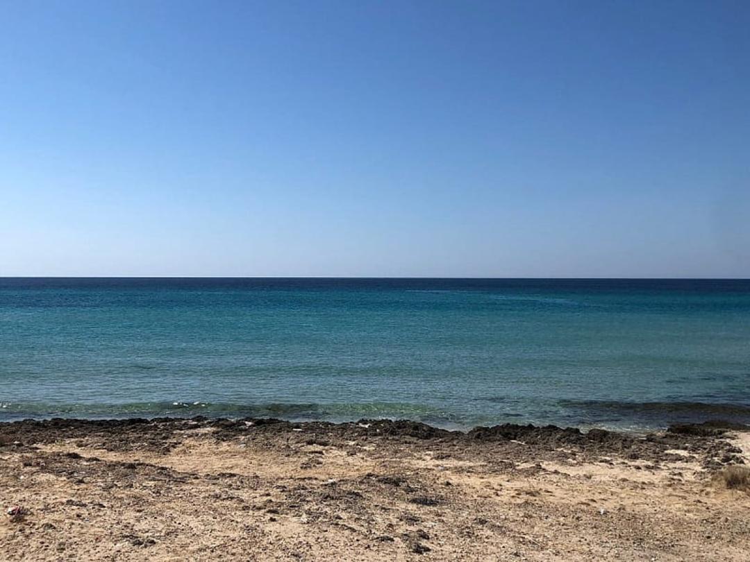 ساحل آلتین کوم