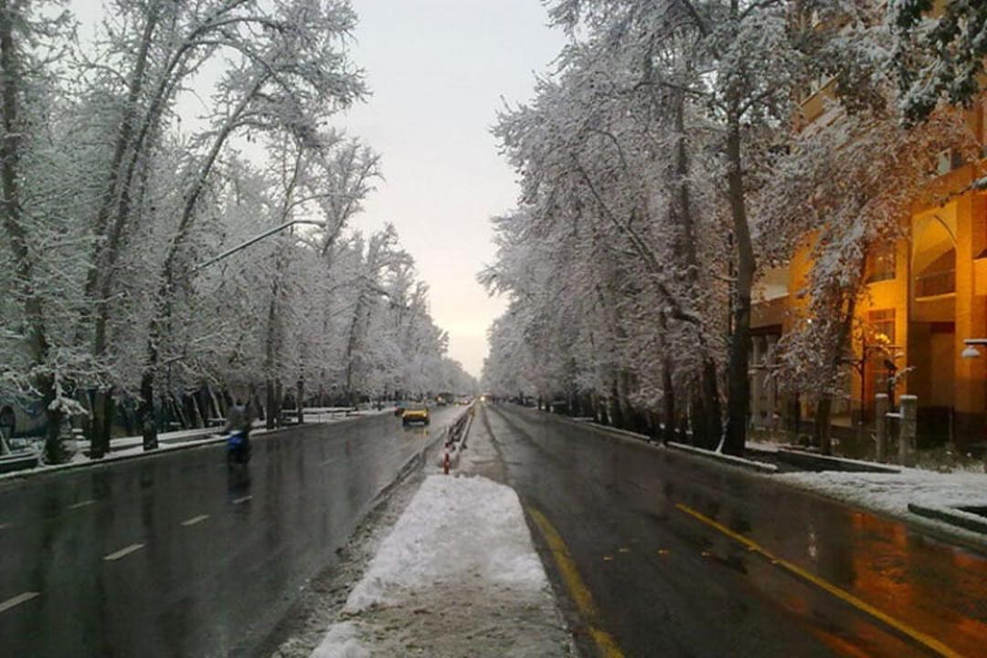 ولیعصر