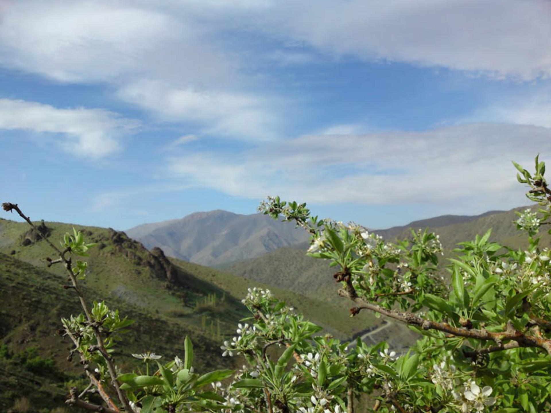 روستای گلیان
