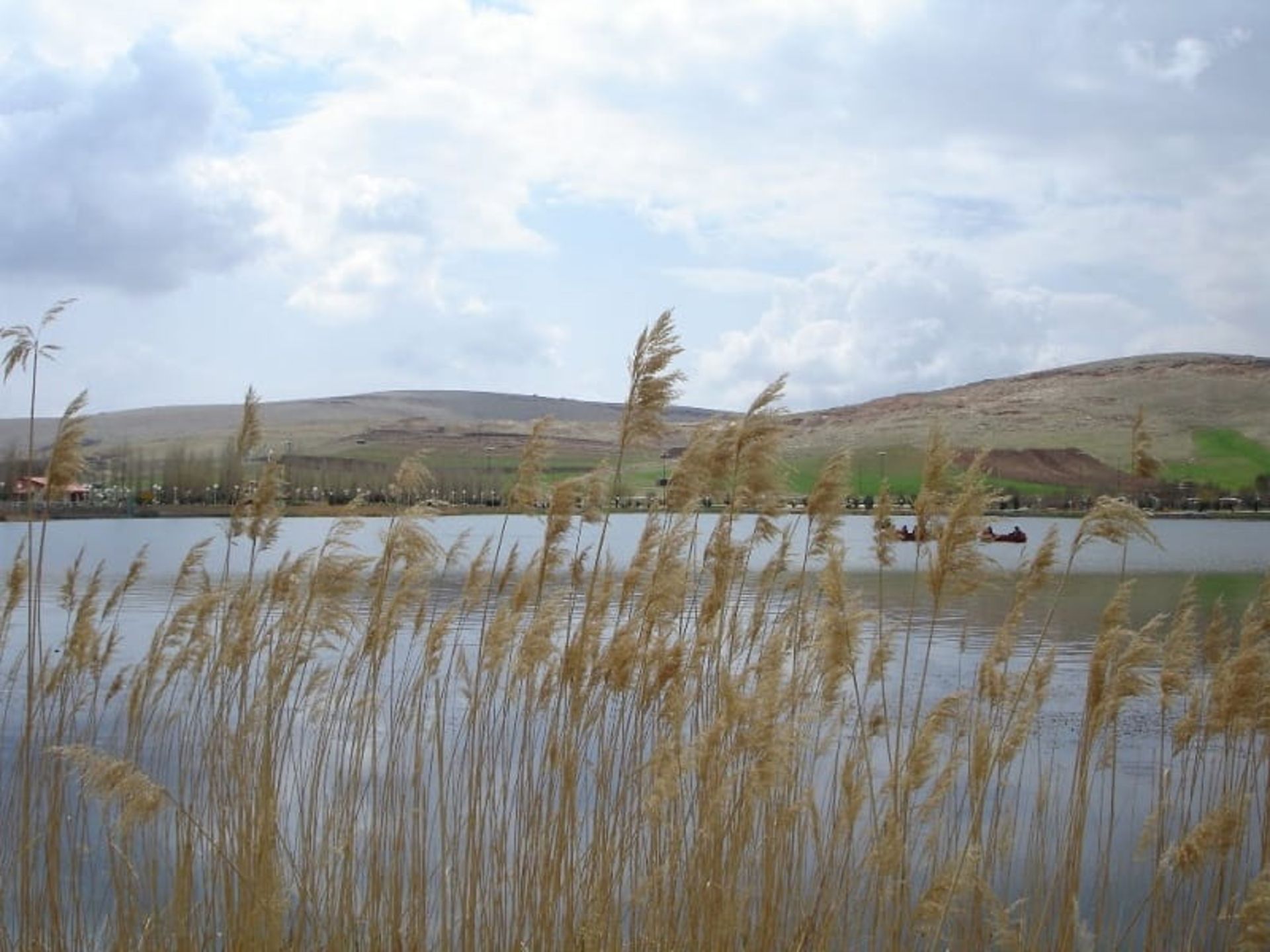 تالاب سراب نیلوفر