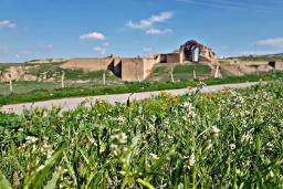کاخ آشور در عراق