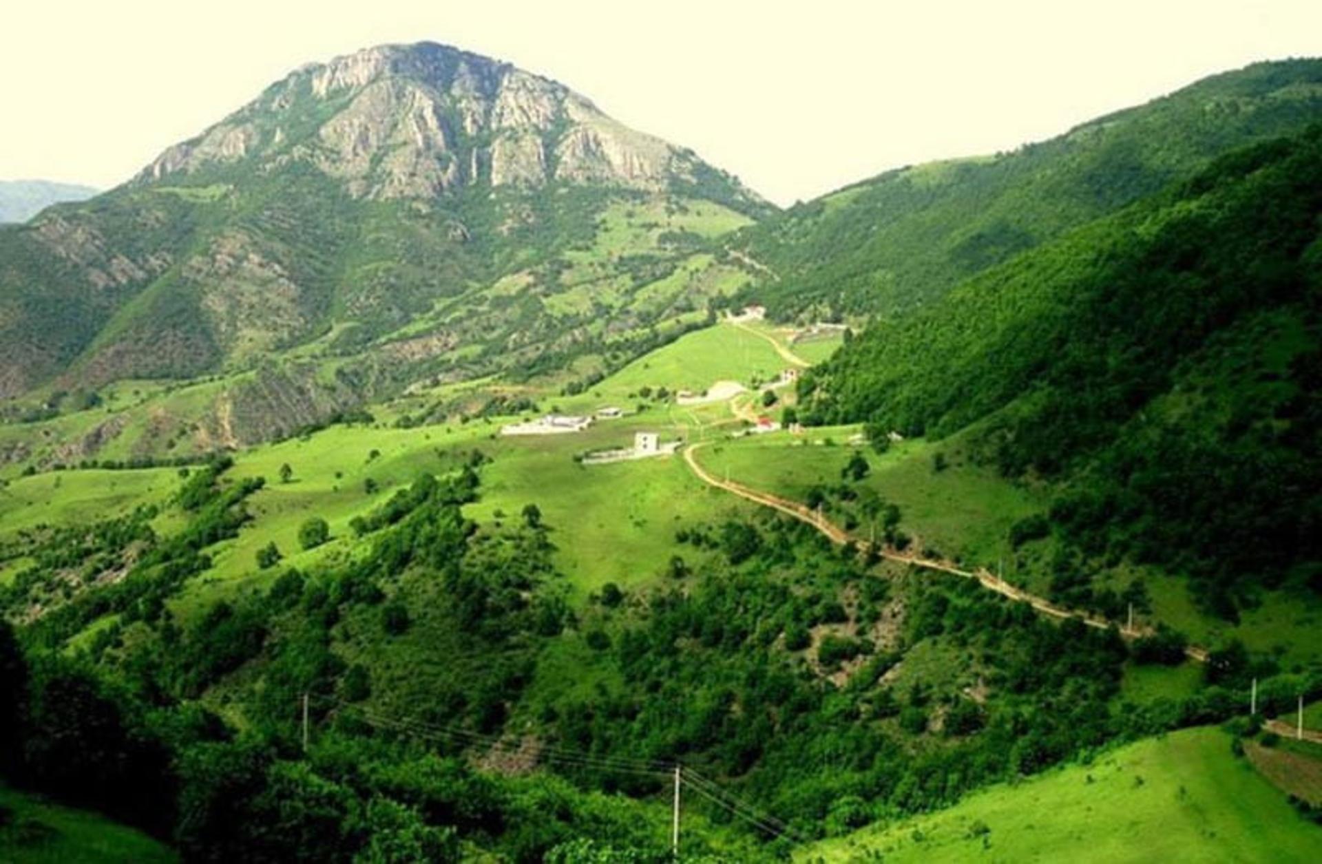 جنگل های سبز ارسباران با جاده جنگلی میان آن از نمای بالا