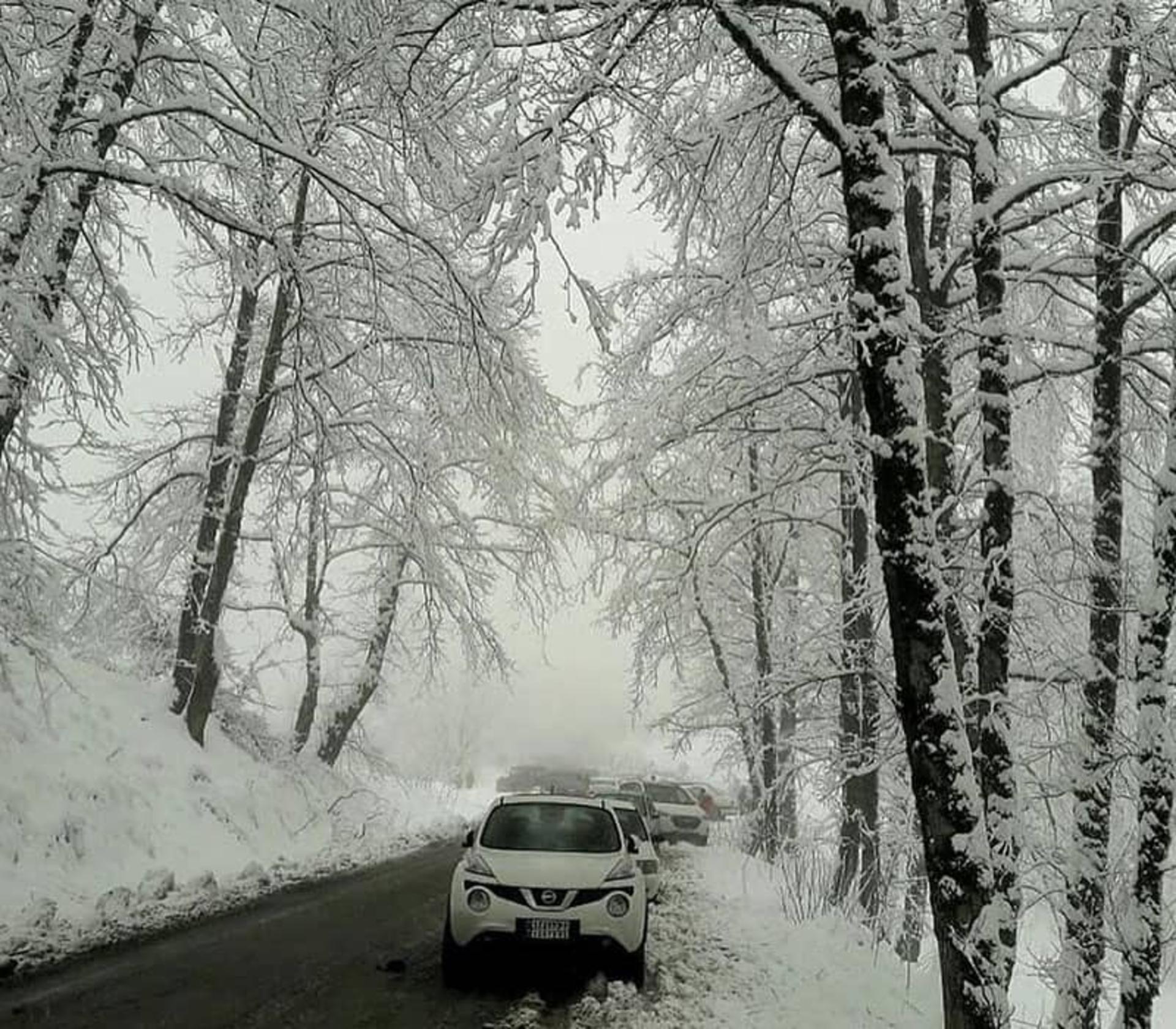منطقه ای جنگلی در زیر برف