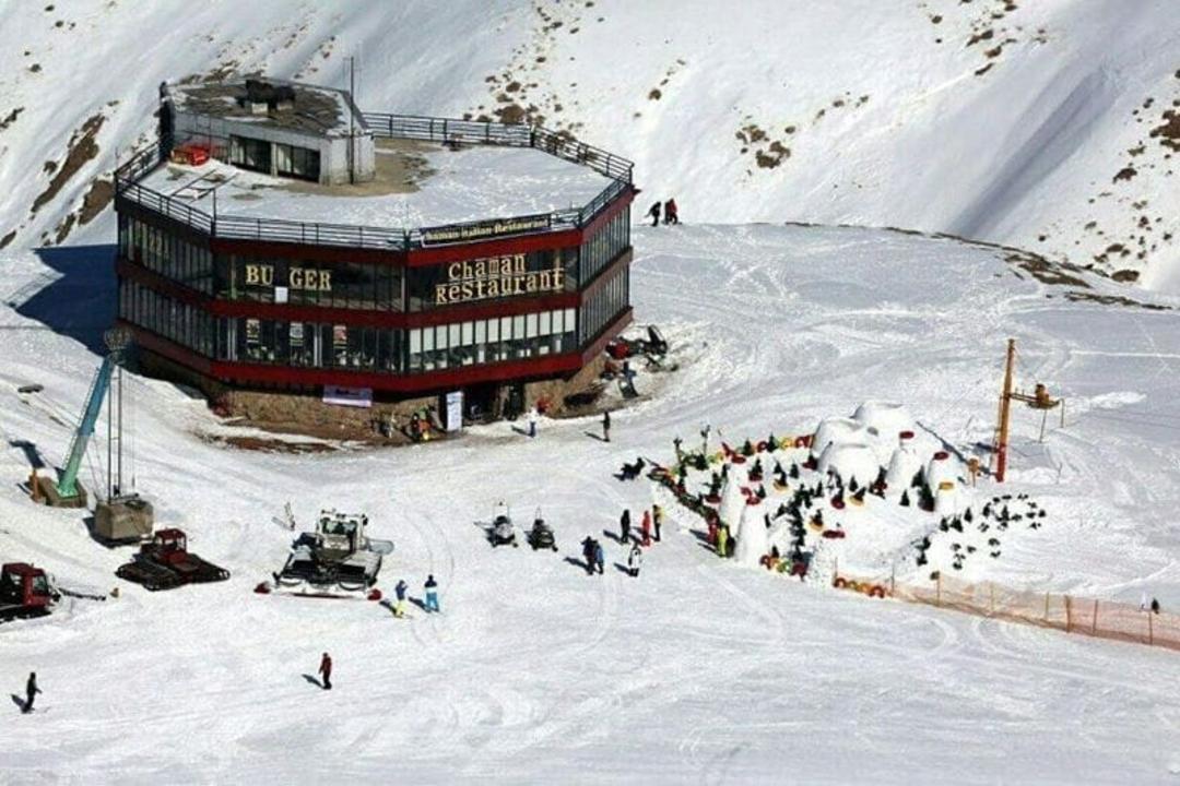 چمن دیزین