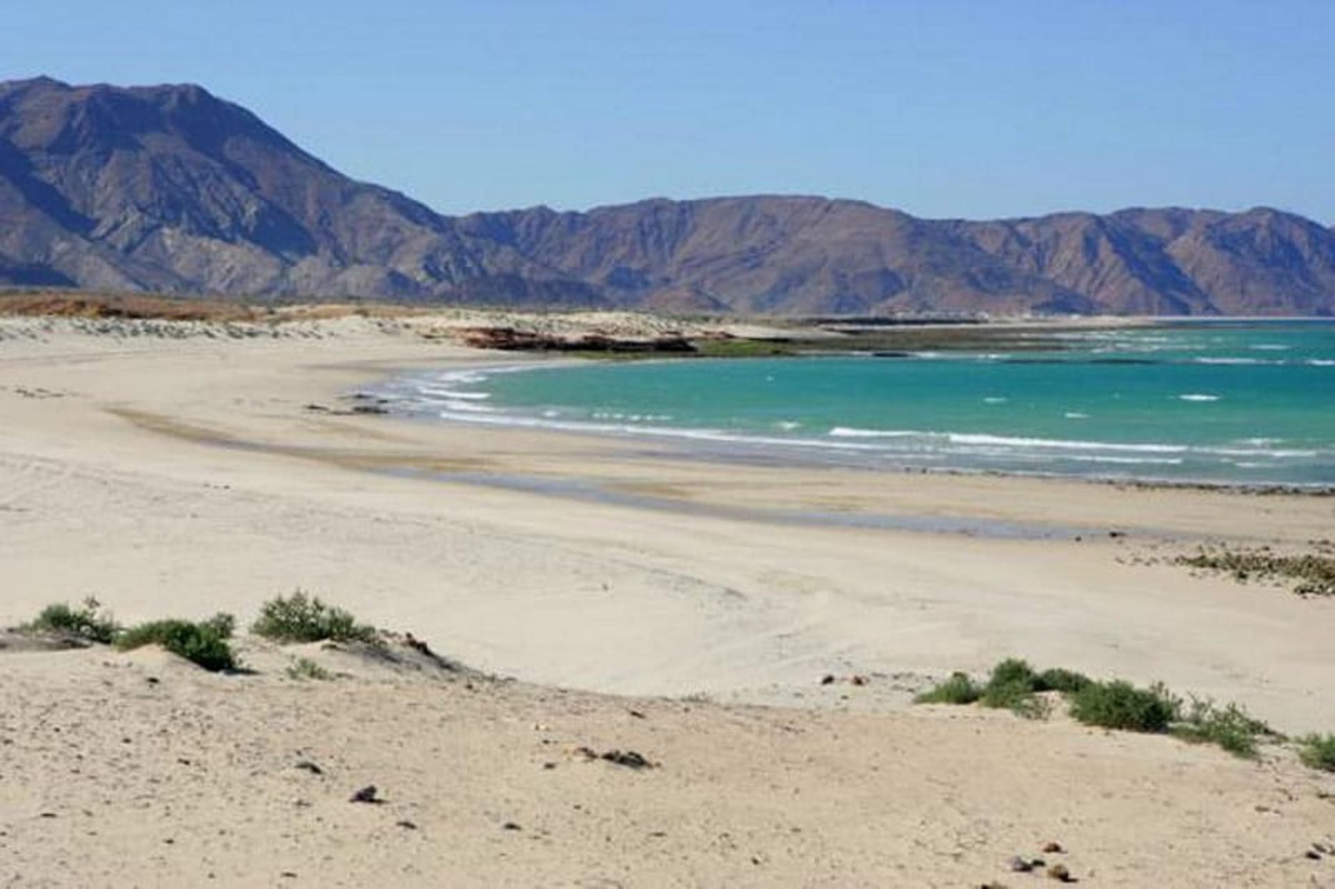 ساحل السیفه 
