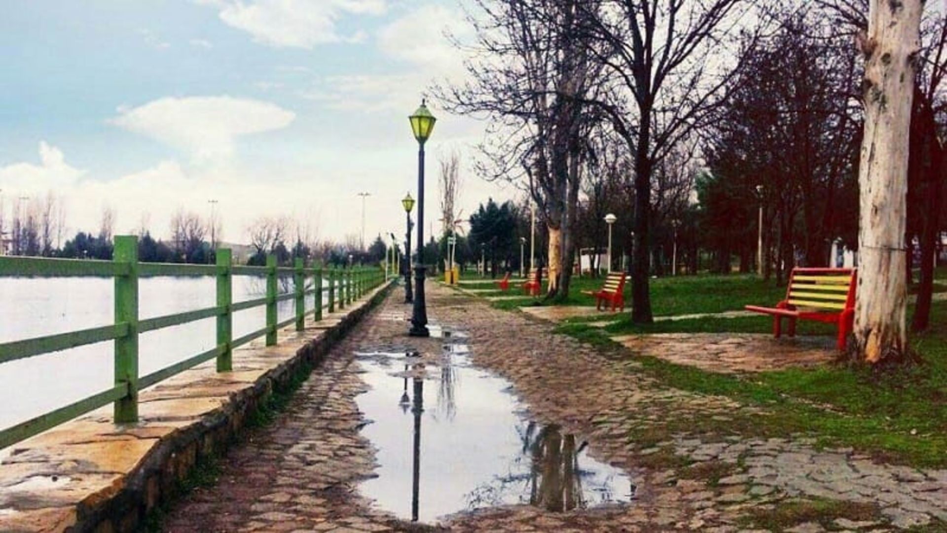تالاب سراب نیلوفر