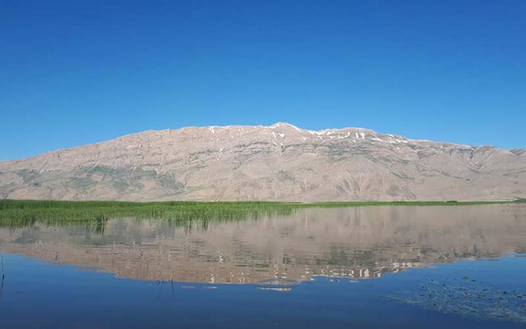 تالاب گندمان در میان دشتی سرسبز