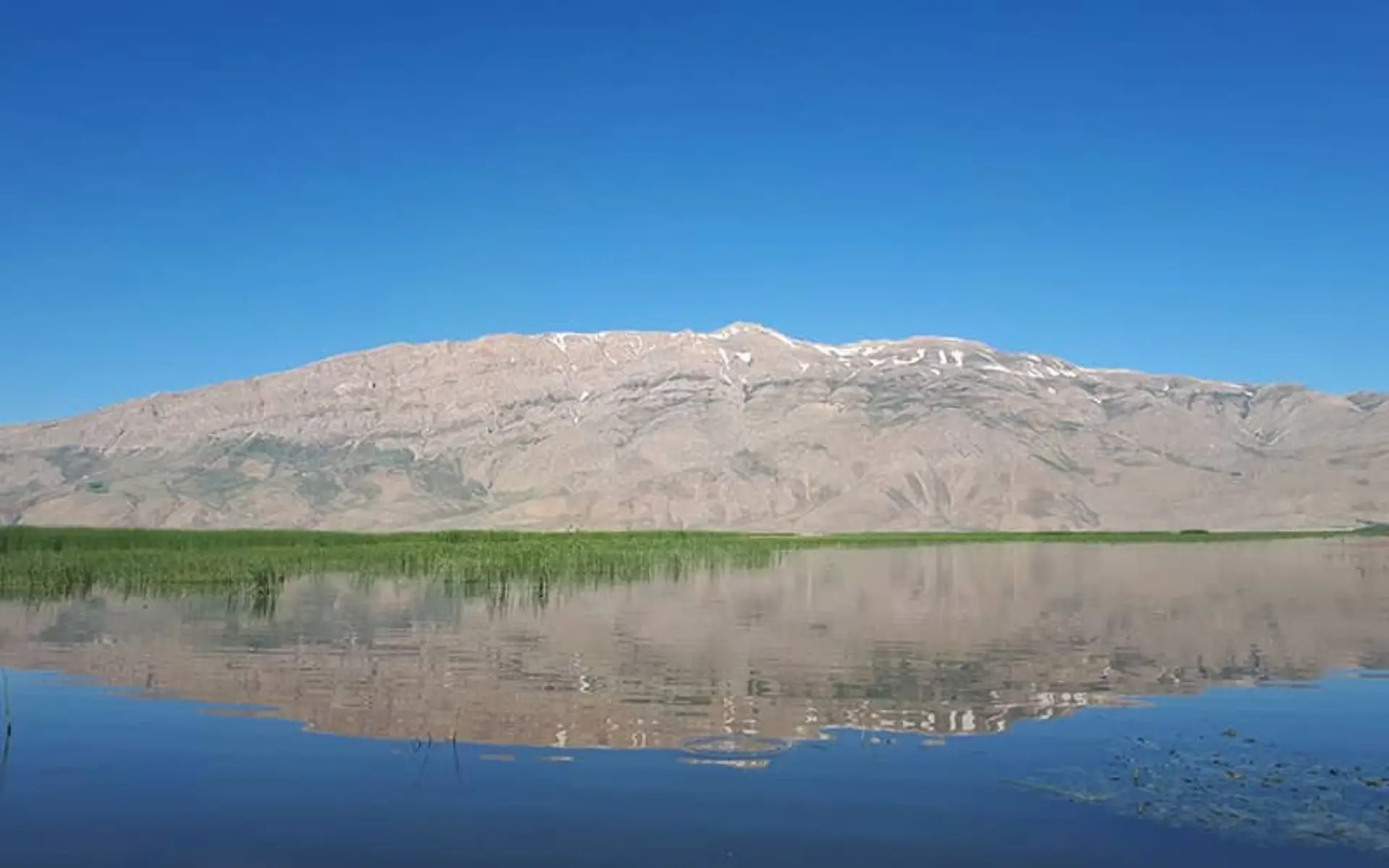 تالاب گندمان در میان دشتی سرسبز
