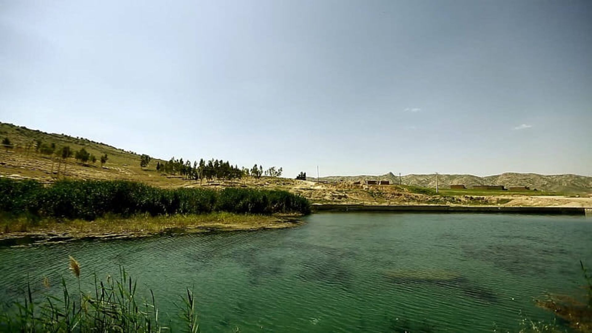 سراب نیلوفر