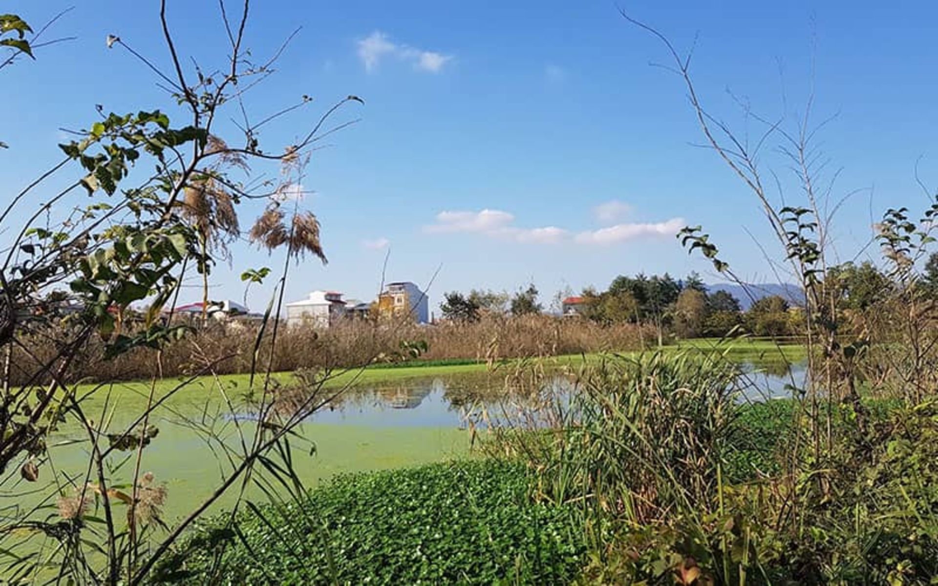 دریاچه کوچکی 