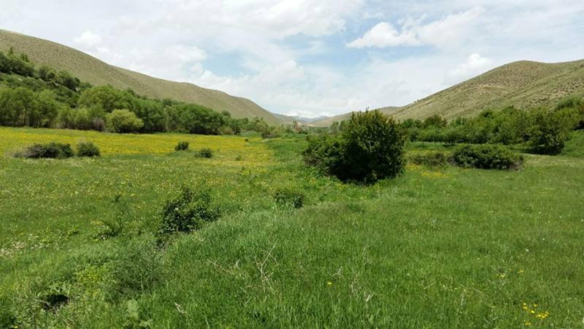 طبیعت شهر سراب