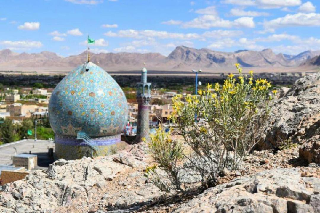 گنبد امامزاده شاه رضا در شهرضا