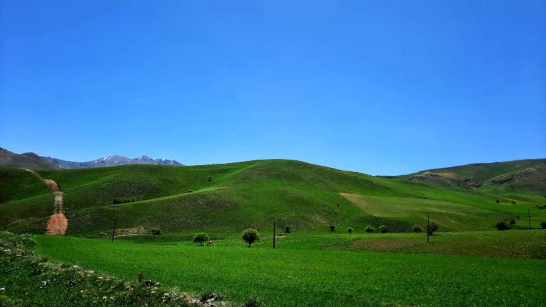 طبیعت کوه چهل چشمه