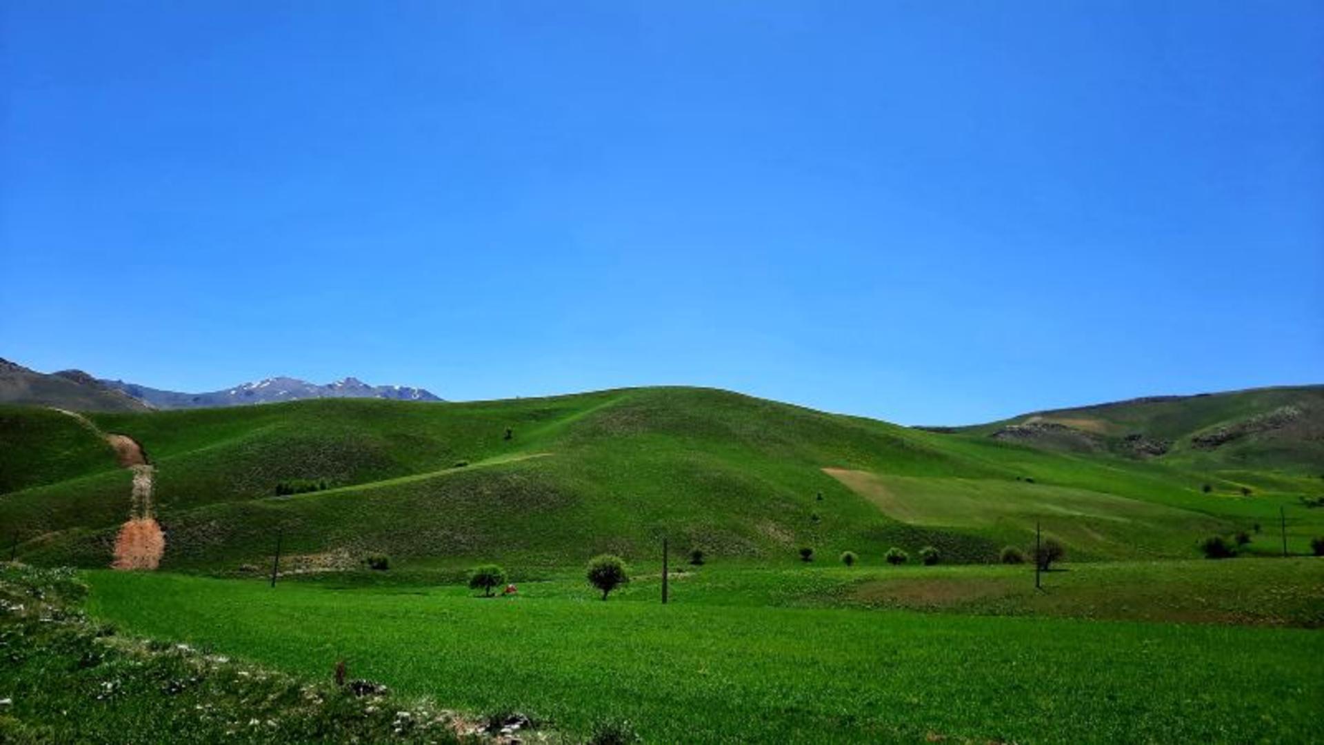 طبیعت کوه چهل چشمه