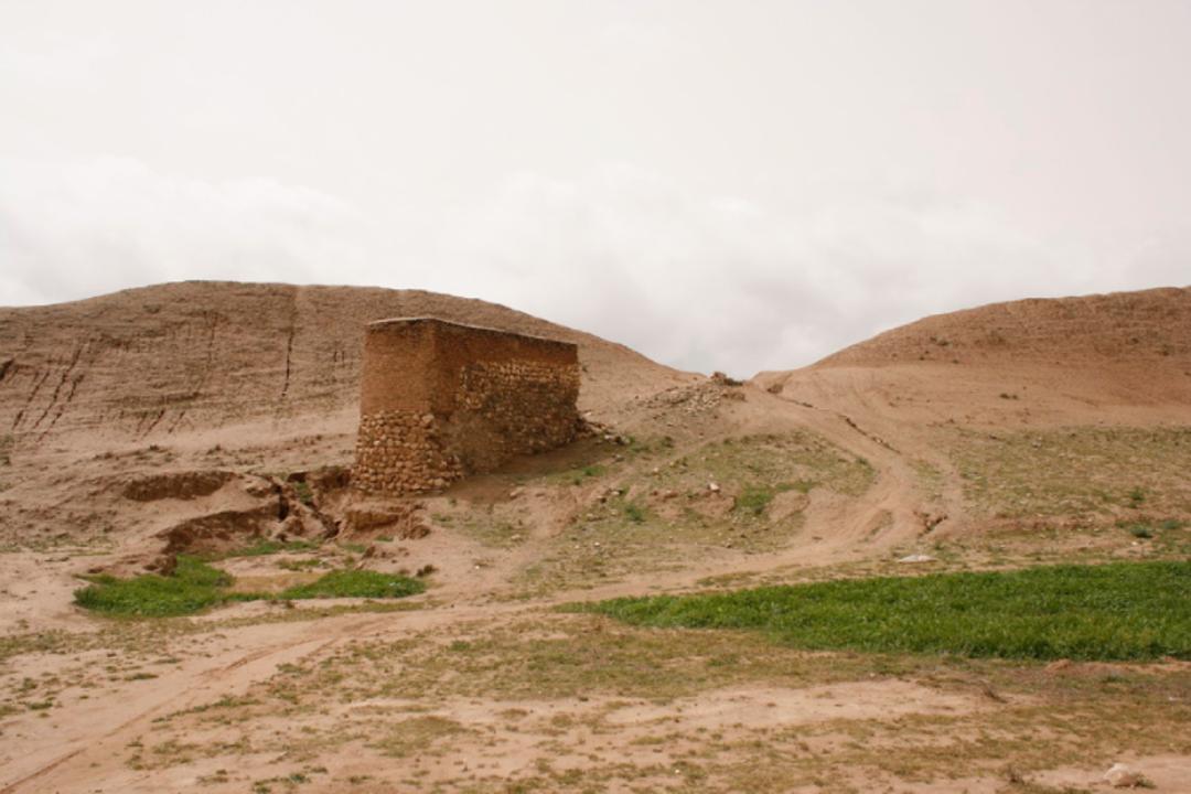 عکسی از شهر تاریخی دارابگرد 