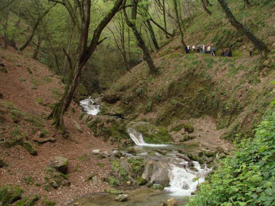 جنگل‌نوردی در کبودوال 
