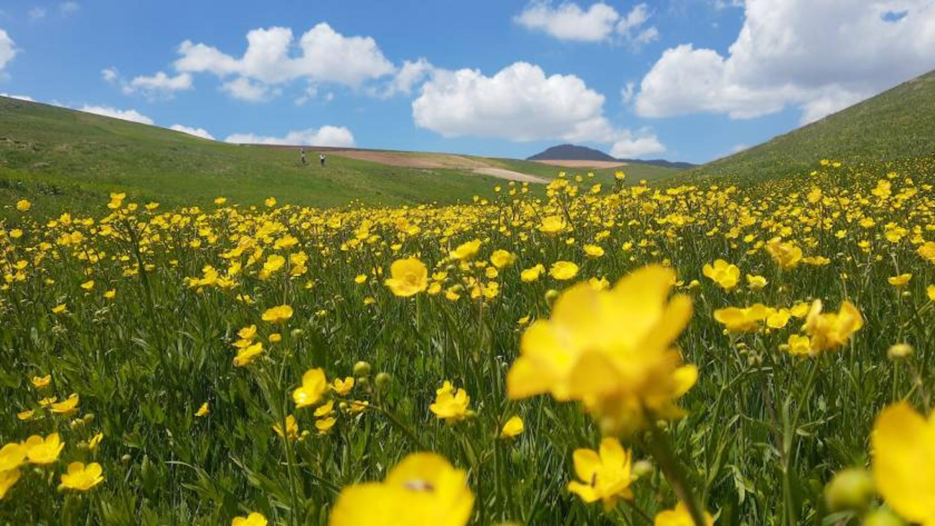 طبیعت دیواندره