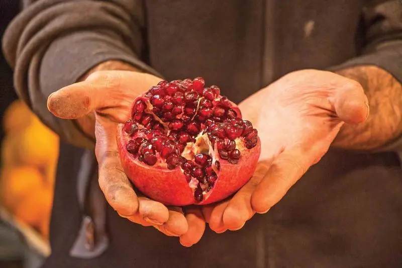 انار گرمسار
