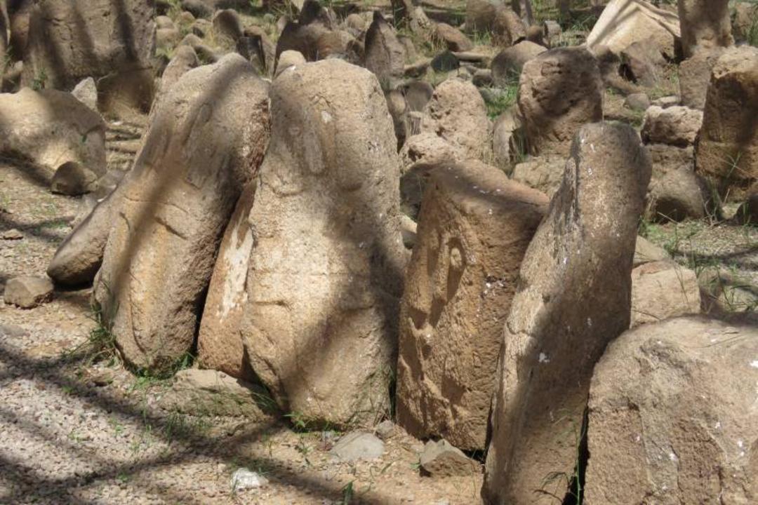 شهر یئری 