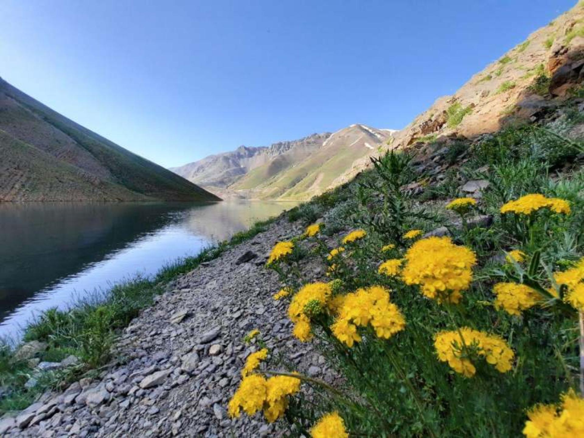 دریاچه تار دماوند