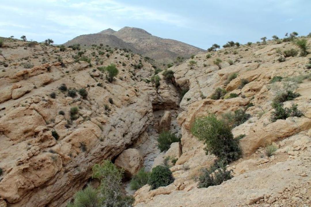 طبیعت بلورد سیرجان