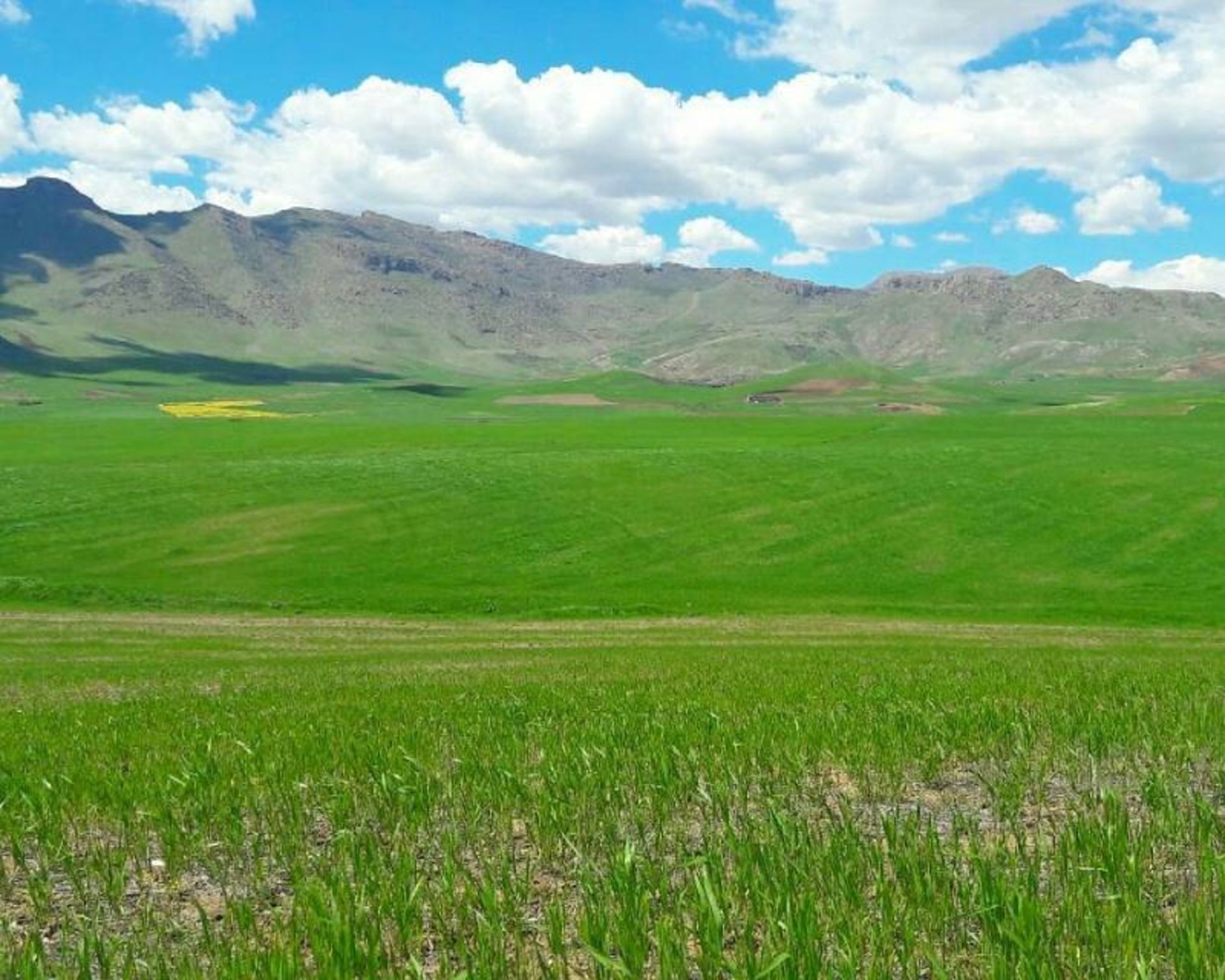 طبیعت کامیاران