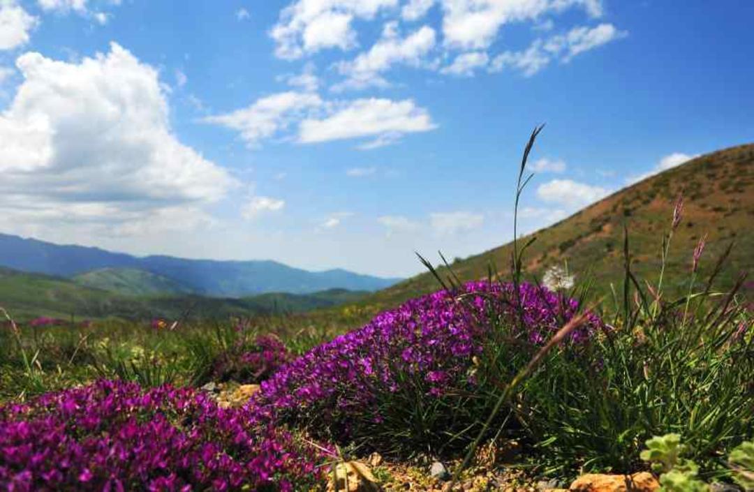 طبیعت بکر منطقه حفاظت شده جهان نما