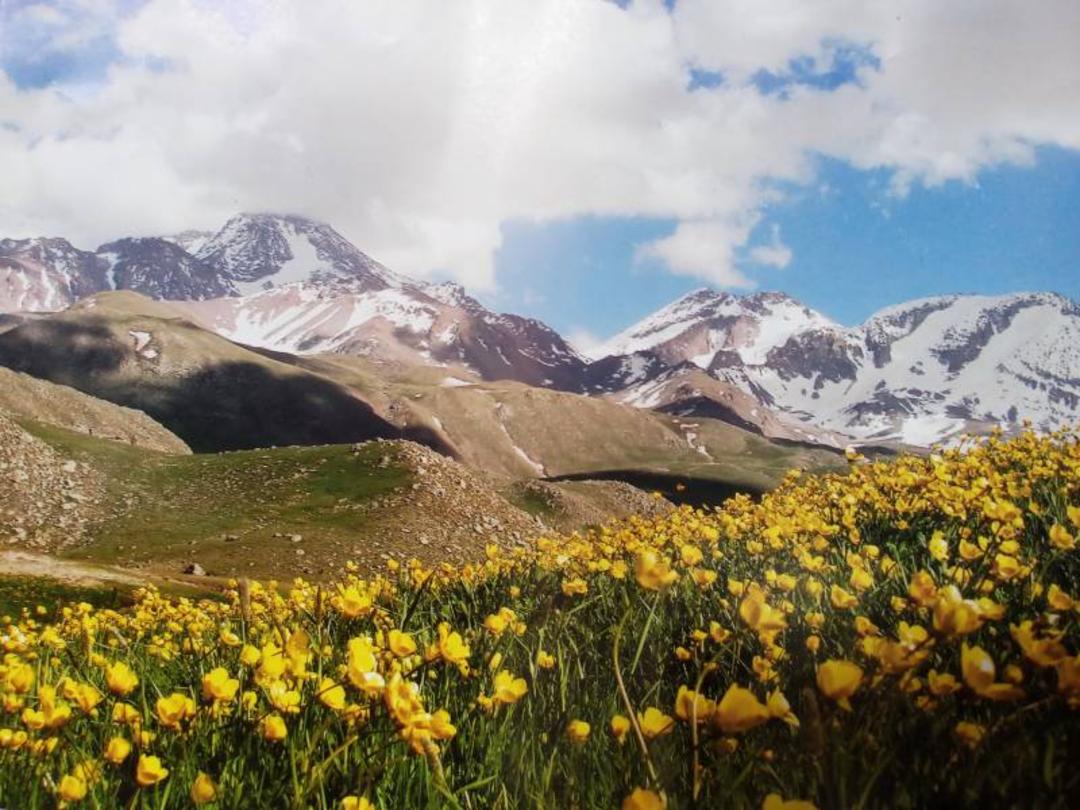 طبیعت مشگین شهر