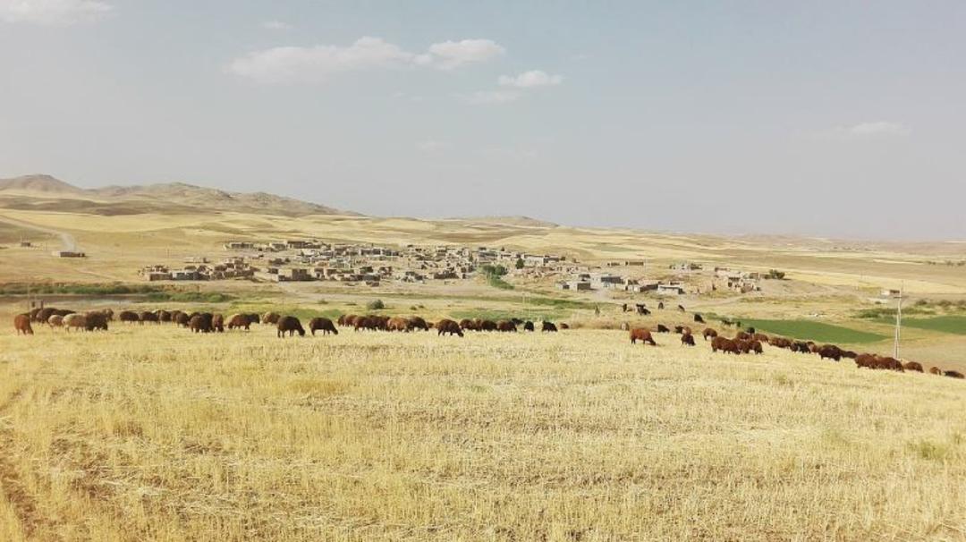 روستای جعفر قروه