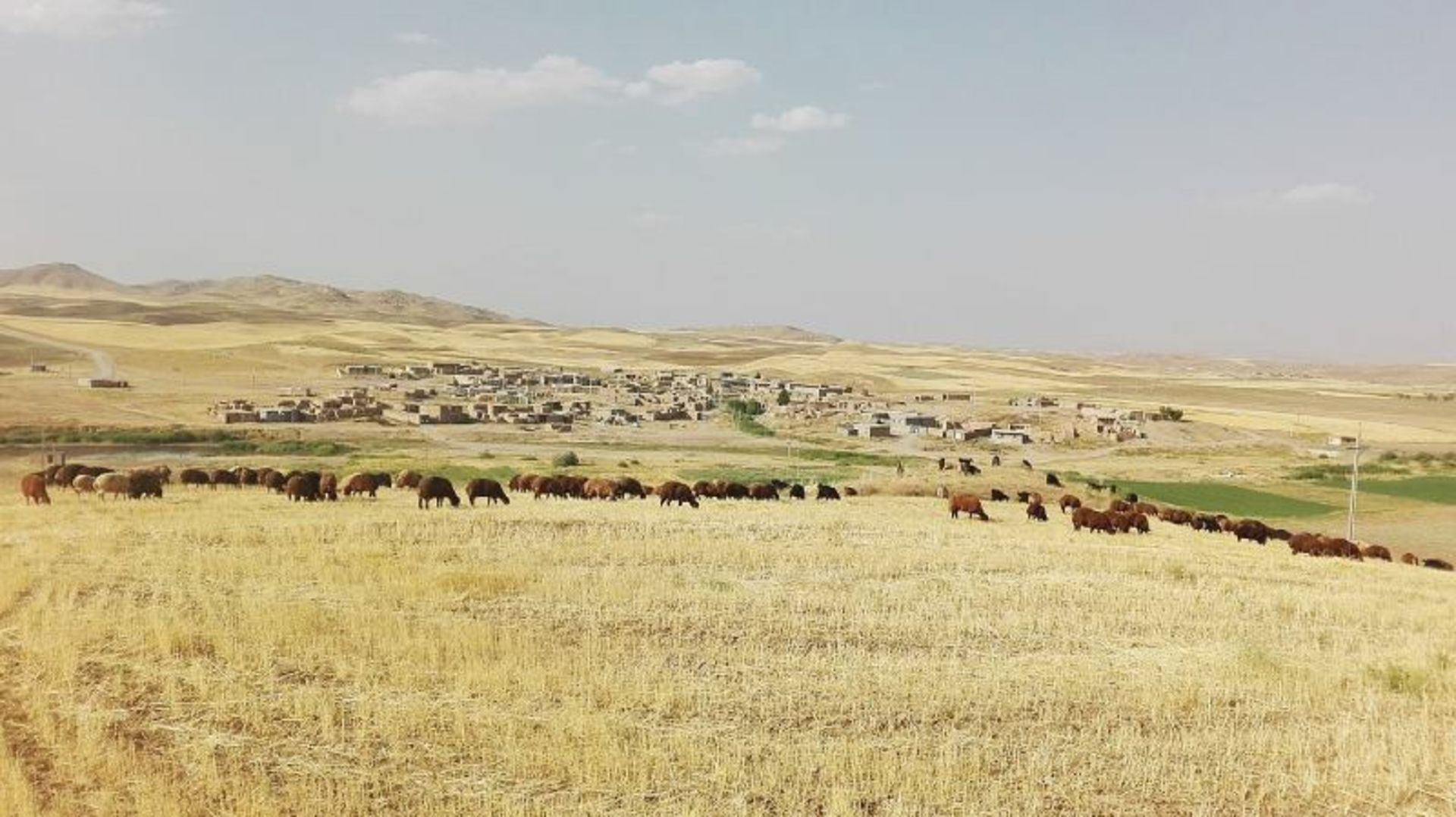 روستای جعفر قروه