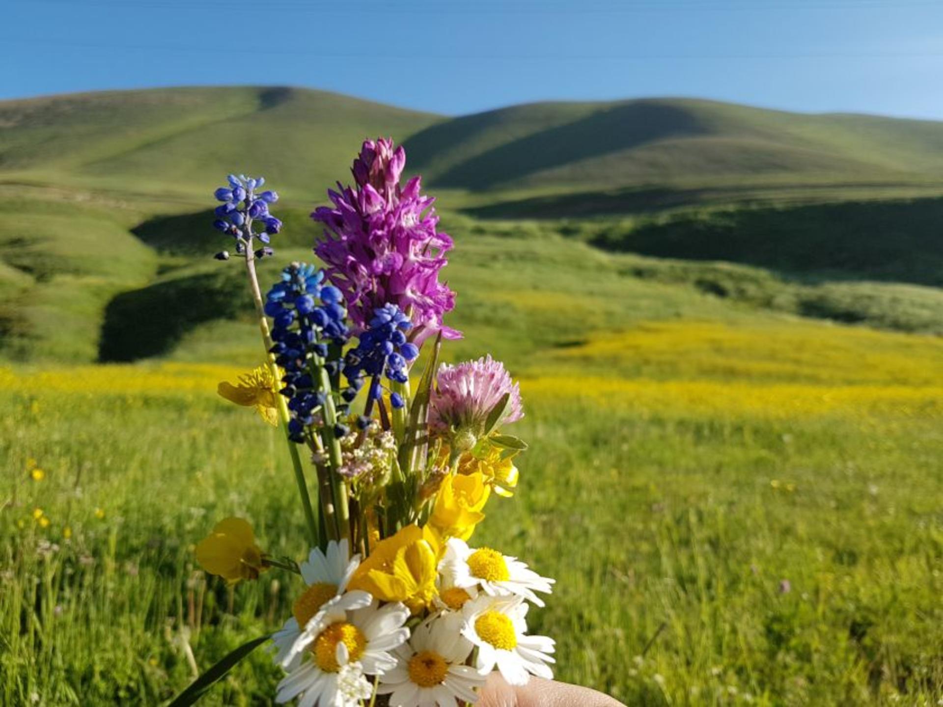 طبیعت گردنه پونل