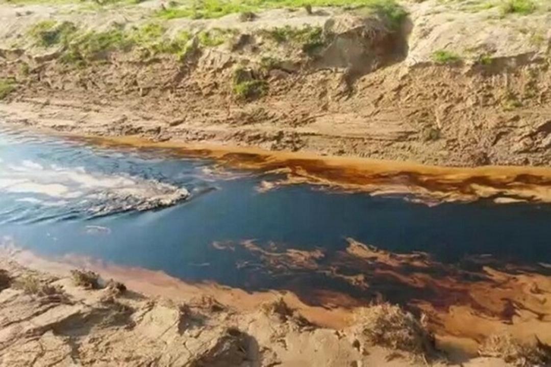 رودخانه گناوه
