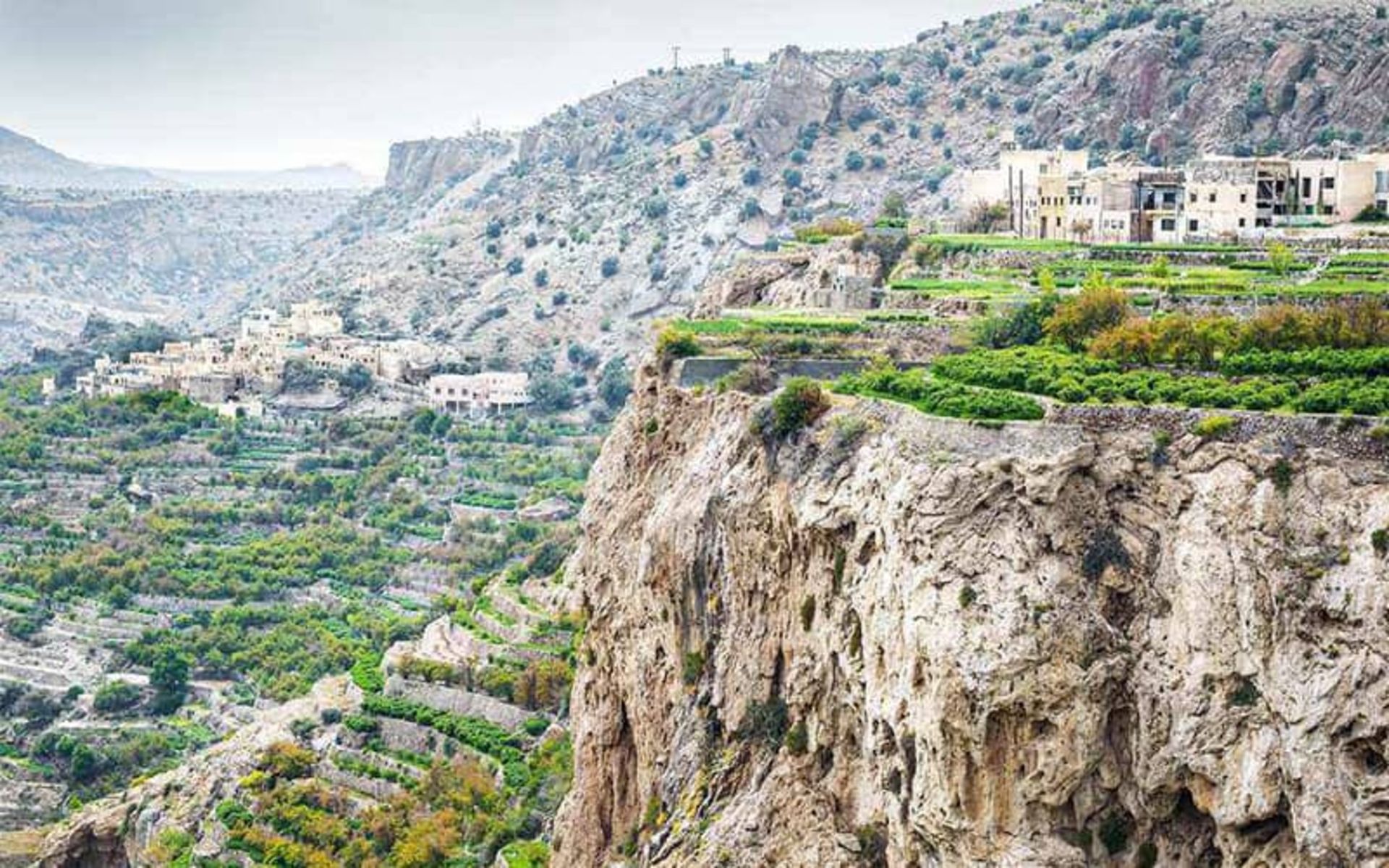 خانه های روستایی بر فراز کوهی مرتفع در جبل اخضر