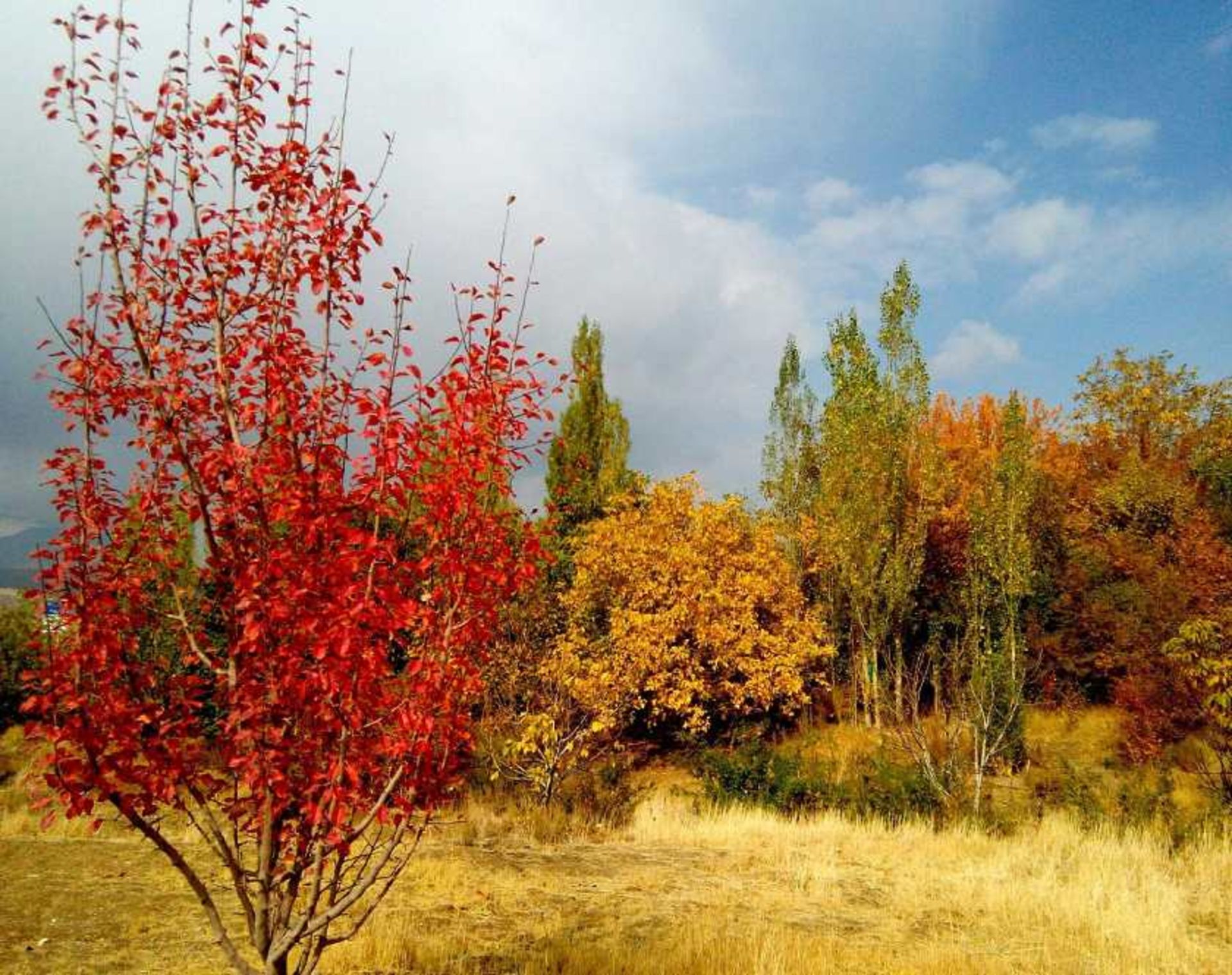 پاییز در سربیژن