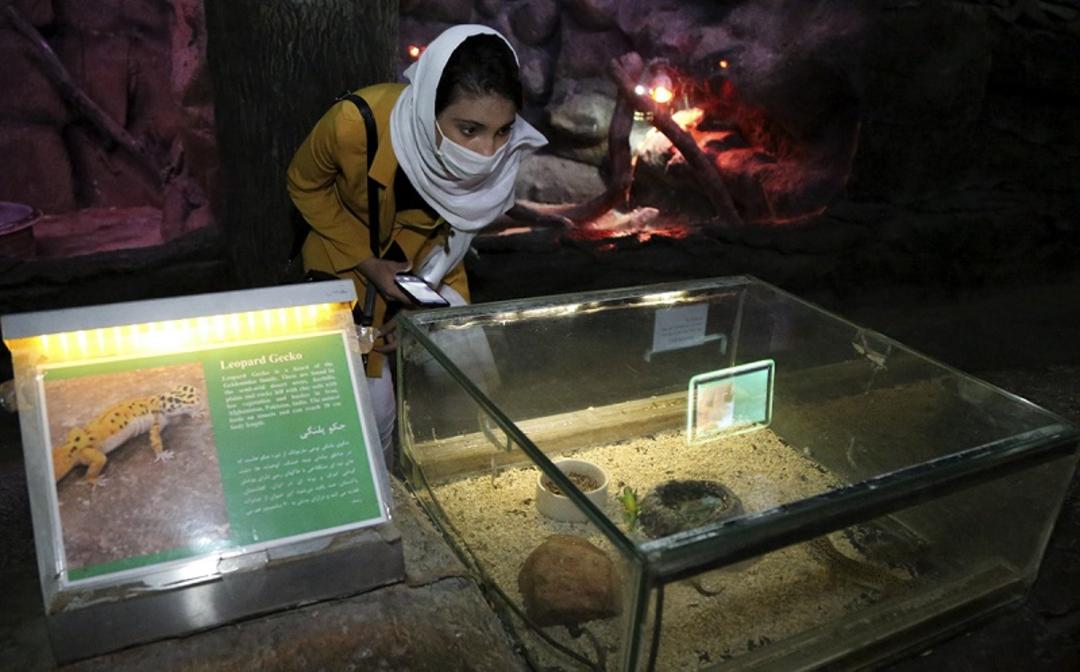 باغ خزندگان اصفهان 