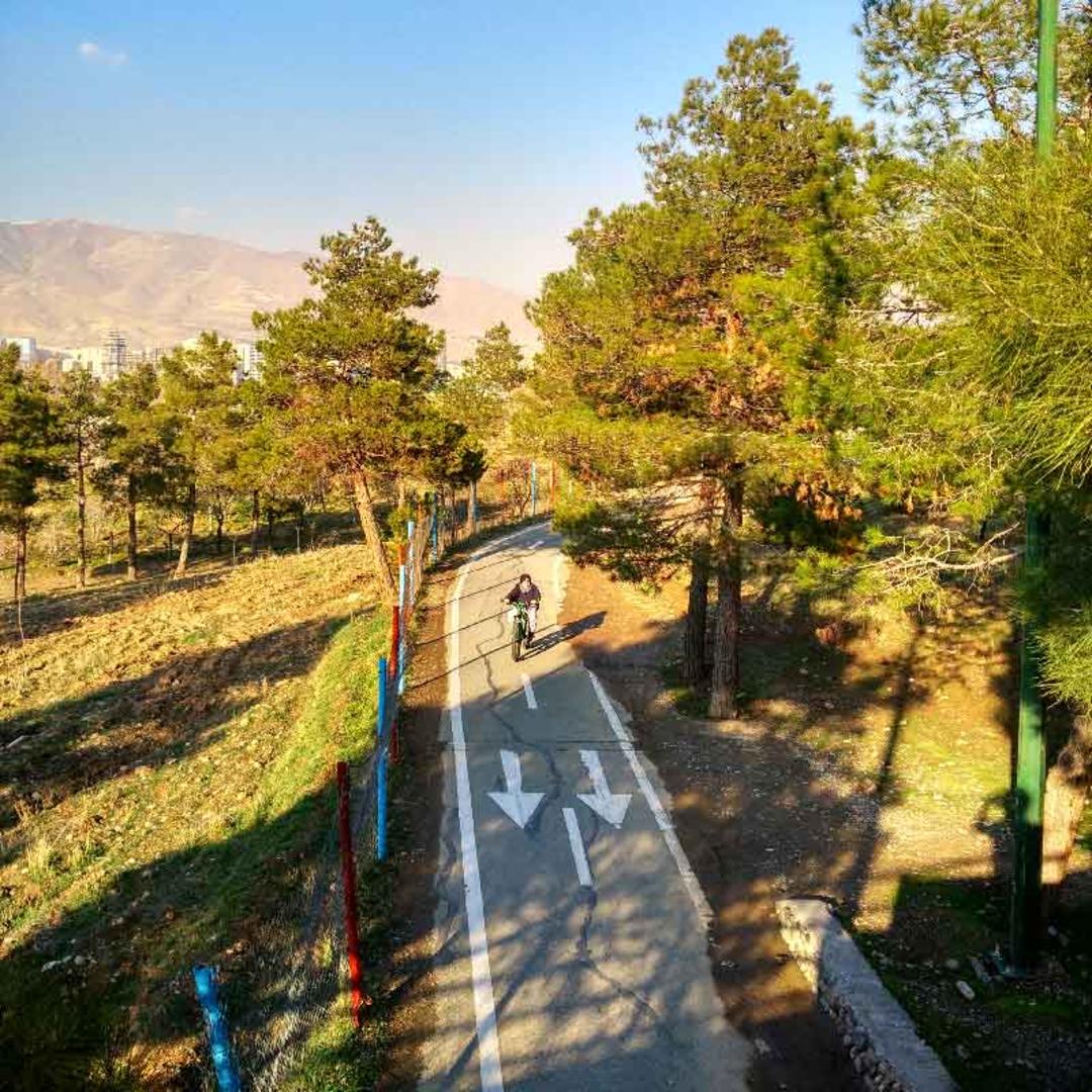 دوچرخه سواری در پارک جنگلی چیتگر