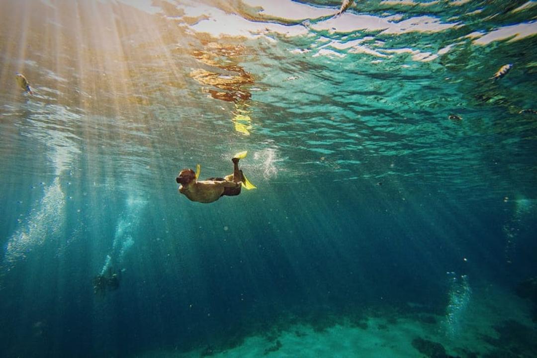 دریای سرخ