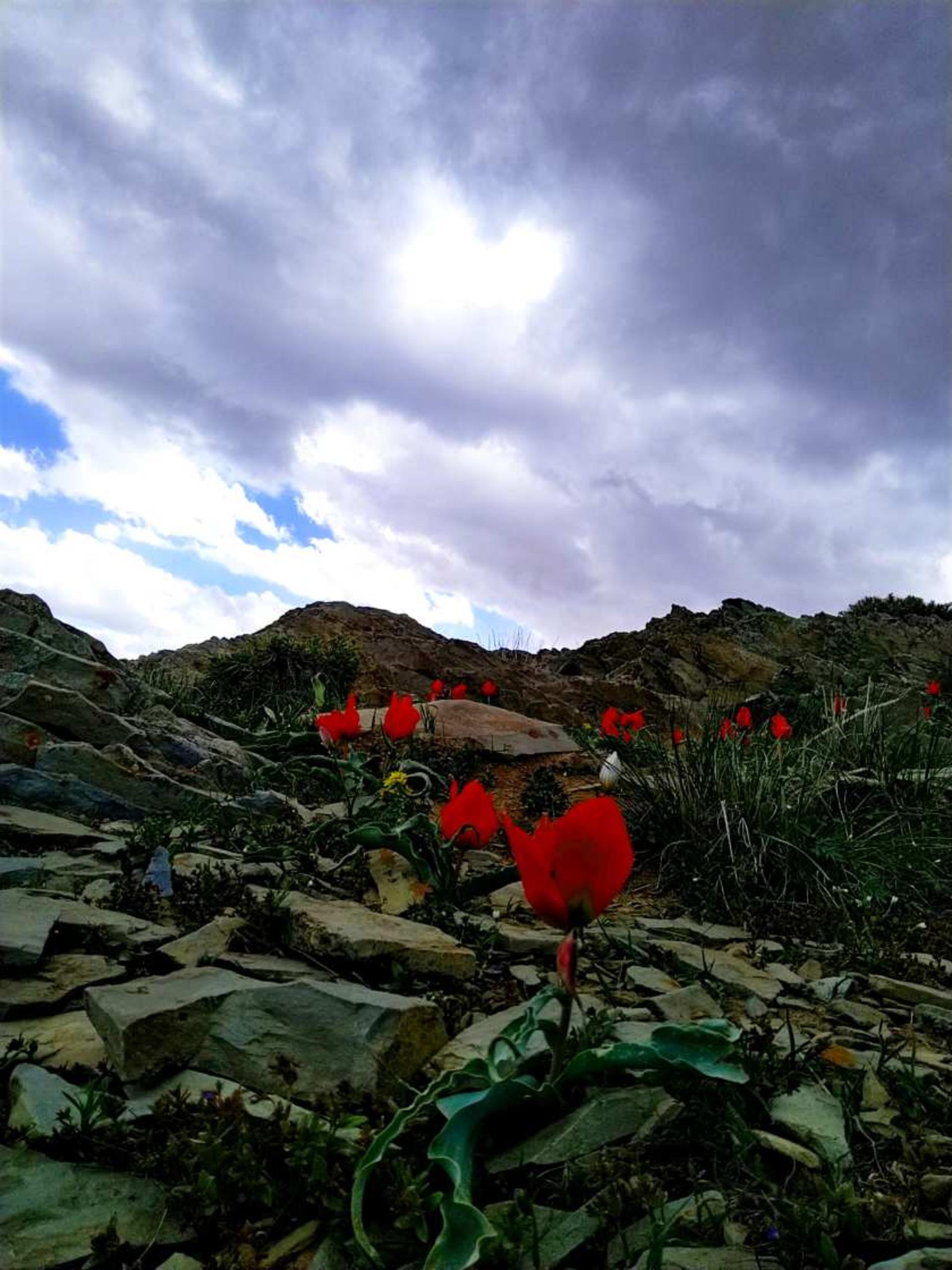 طبیعت هزاوه اراک