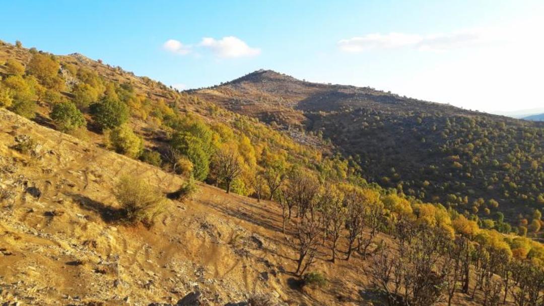 طبیعت اطراف بانه