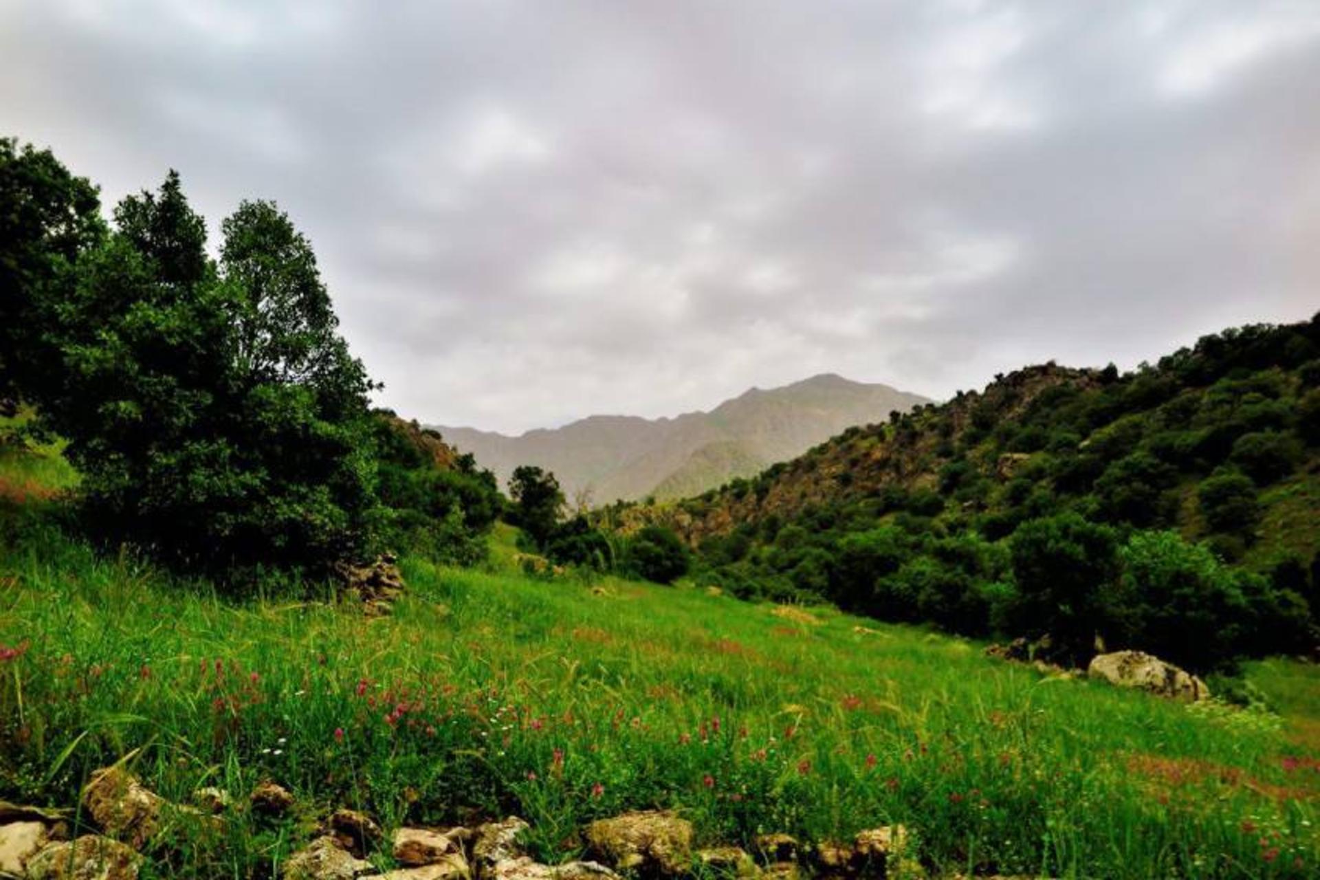 طبیعت پاوه