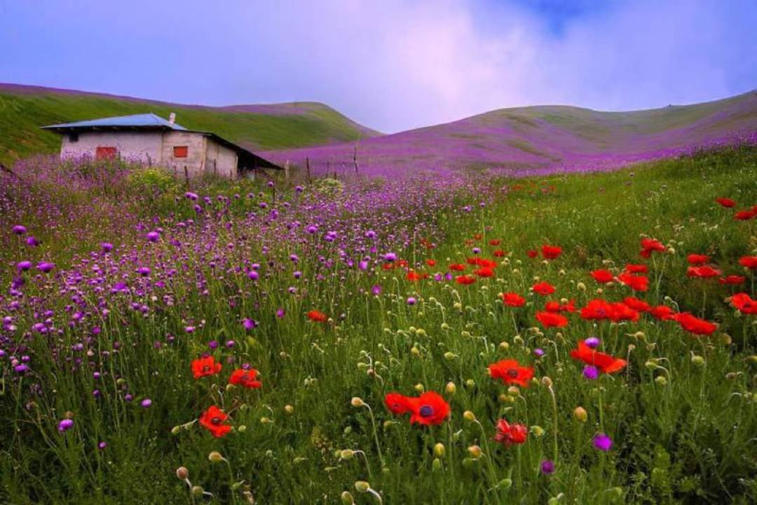 زیبایی‌های طبیعت تالش