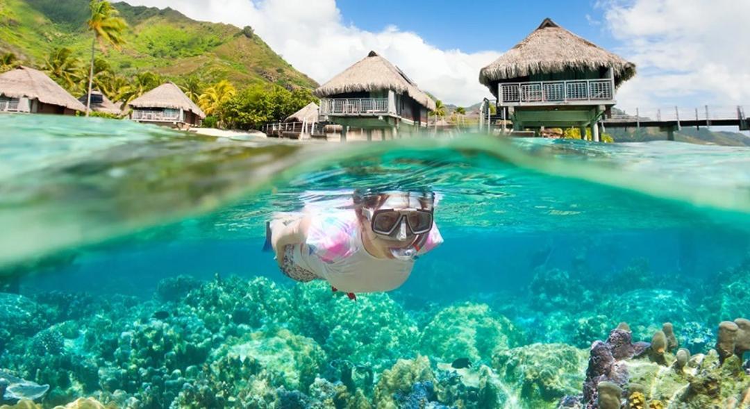 اسنورکلینگ در بورا بورا، منبع: wildernesstravel.com