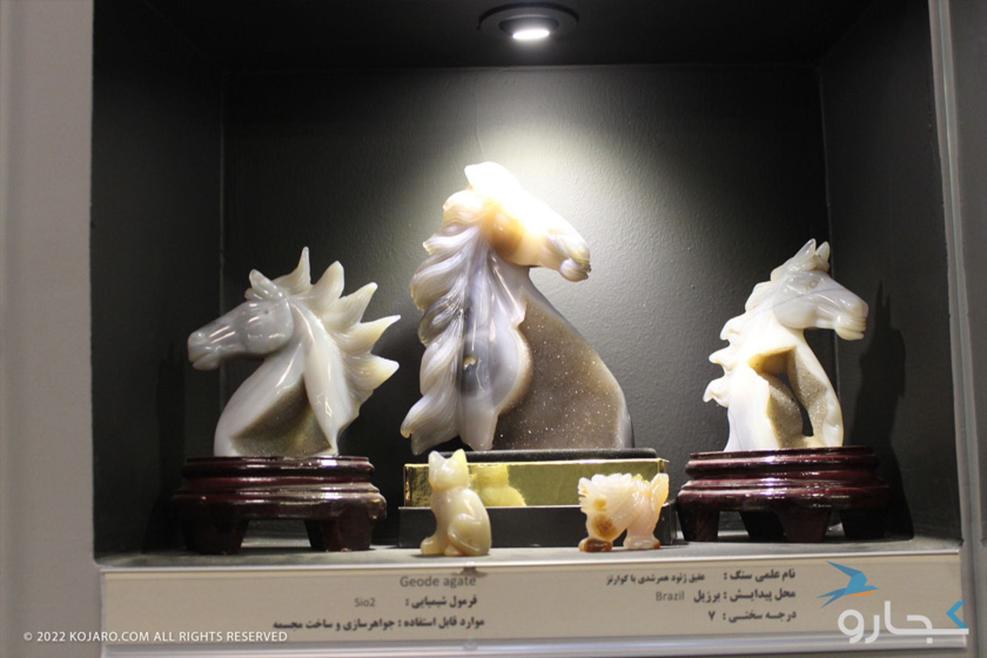 مجسمه اسب موزه آمیتیس
