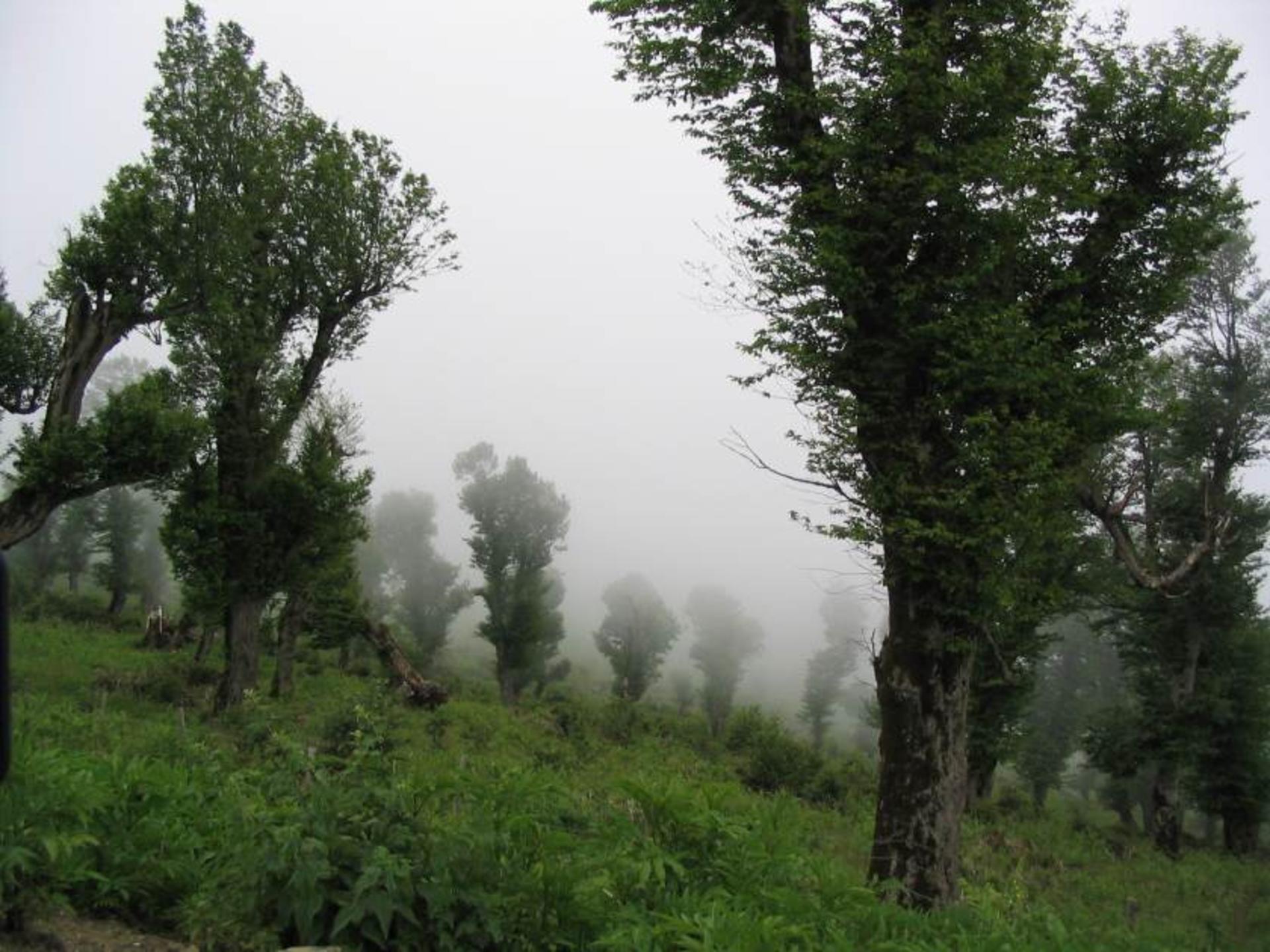 طبیعت مسیر اسالم به خلخال
