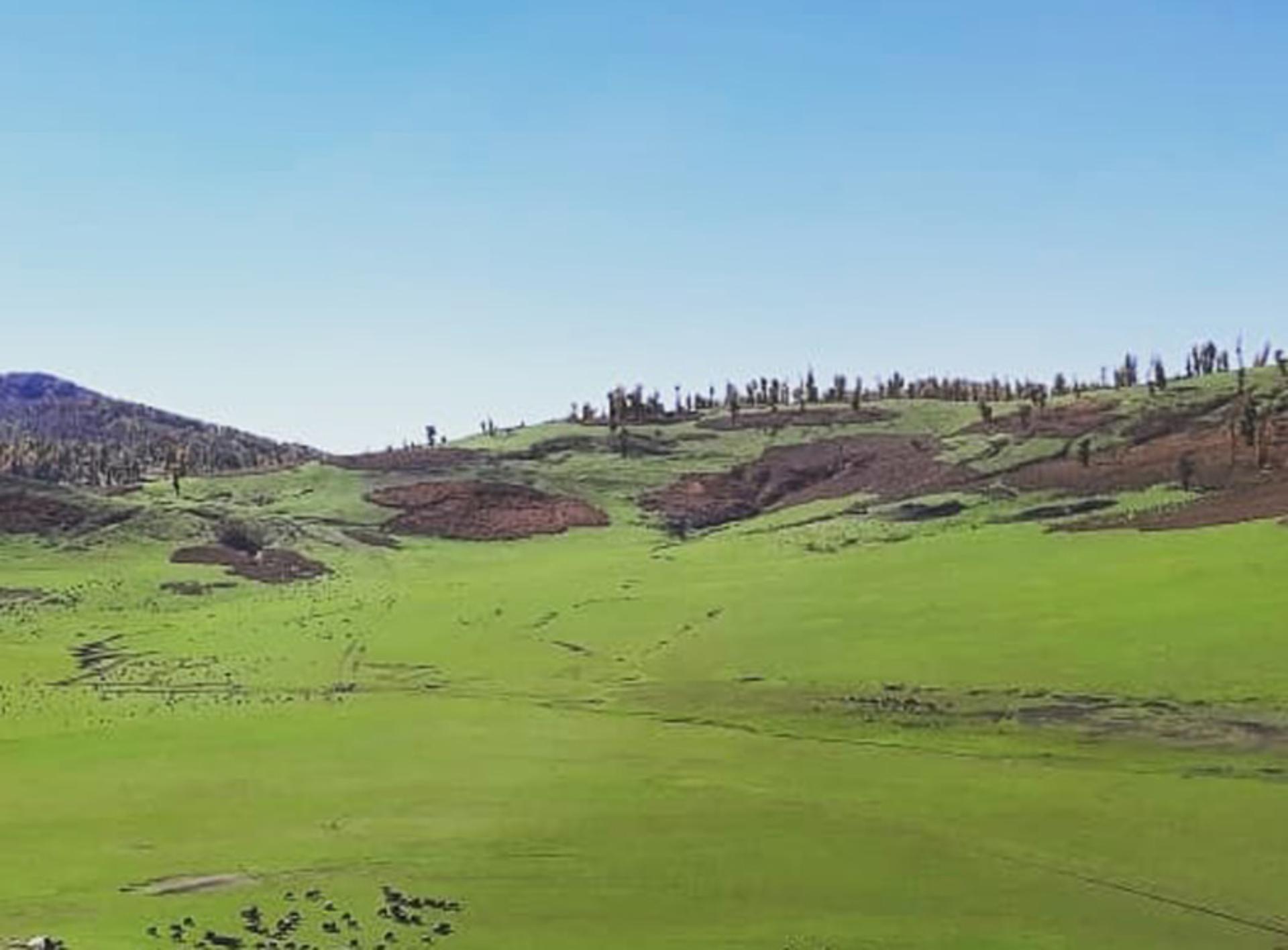 مراتع سرسبز روستای قلعه قافه مینودشت