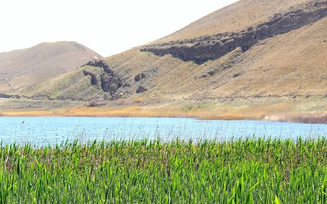 روستای بزنگان