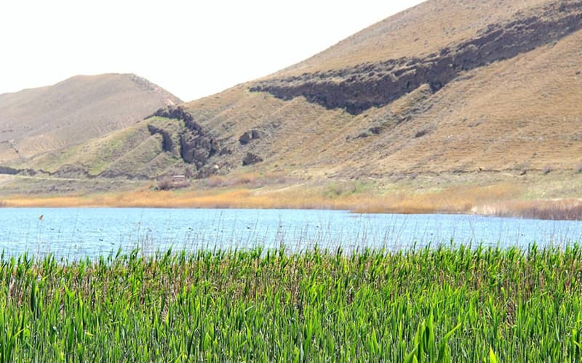 روستای بزنگان